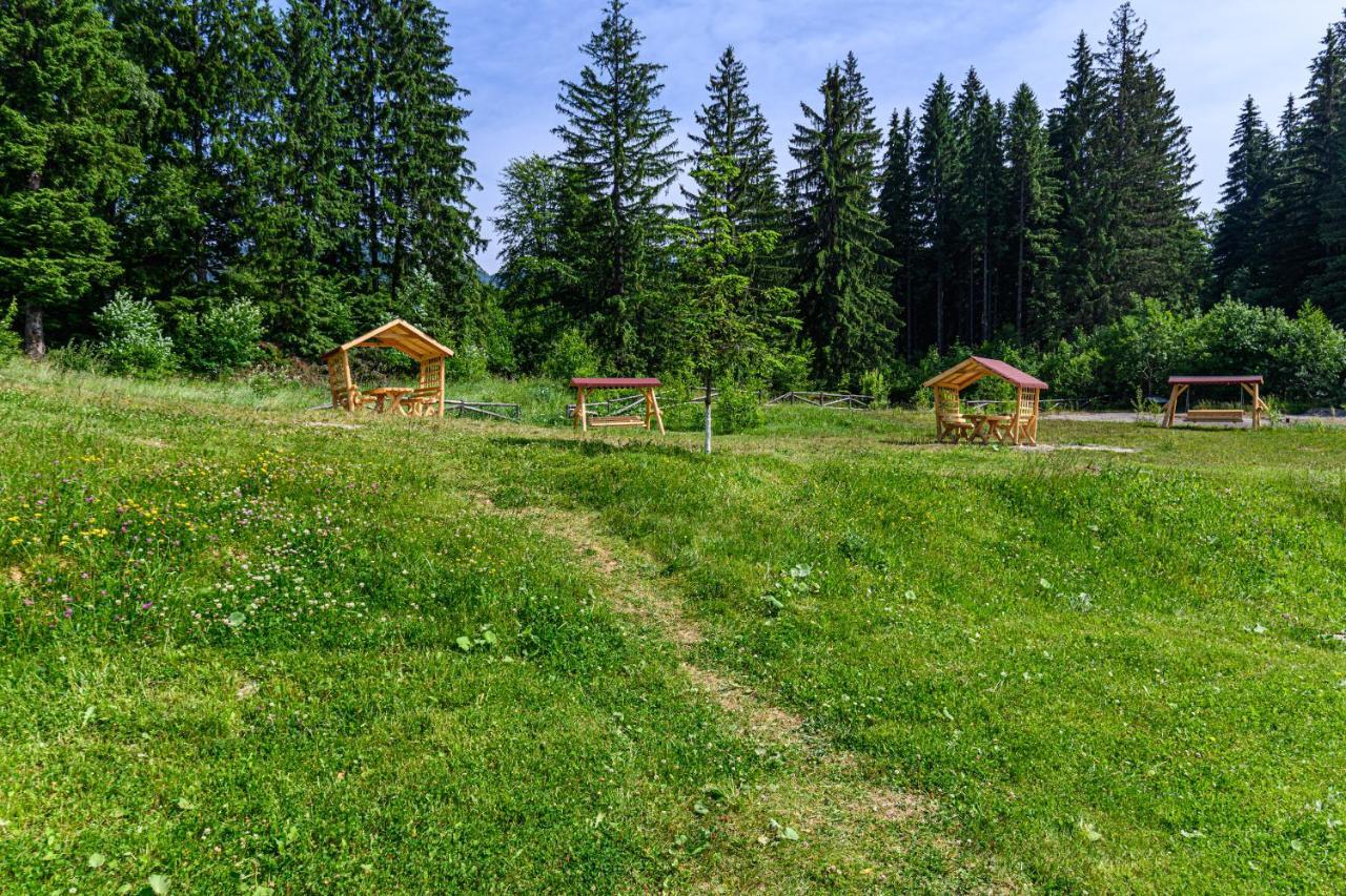 Fabulous Panorama Silver Mountain Apartments Poiana Brașov Zewnętrze zdjęcie